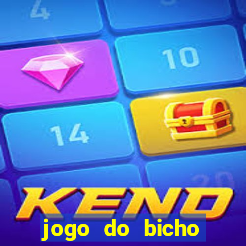 jogo do bicho crash bingo